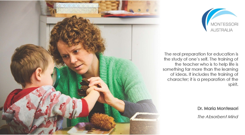 Child and teacher looking at seed pods