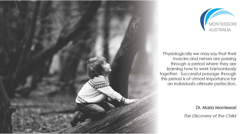 Boy climbing tree, New Forest National Park, United Kingdom @anniespratt