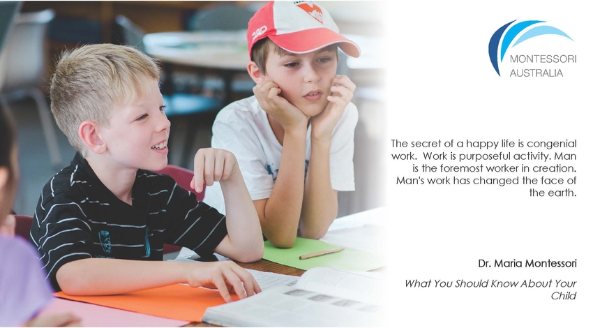 Boys in Montessori classroom