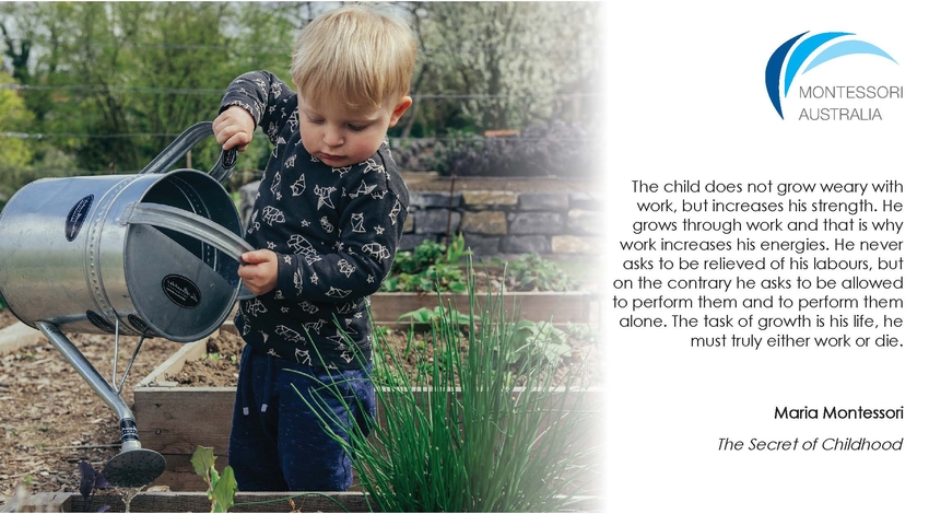 Young child watering garden