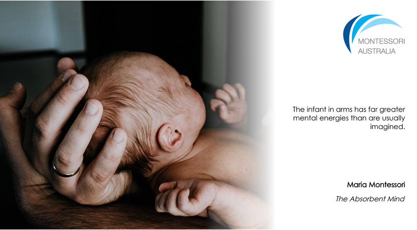 Newborn baby's head cradled in father's hands