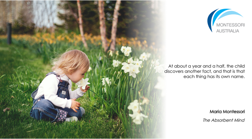 Child sitting in field of flowers sniffing flower