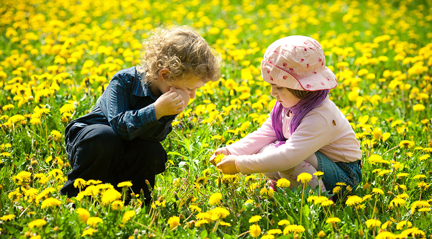 Young children in a field of wildflowers