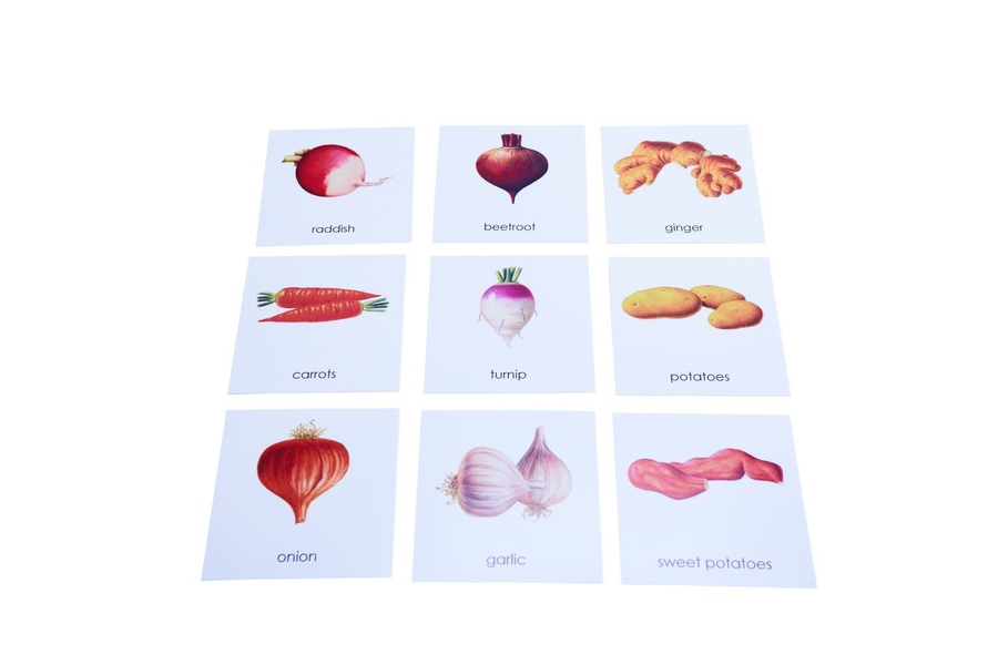 Nomenclature Cards Root Vegetables Montessori Australia